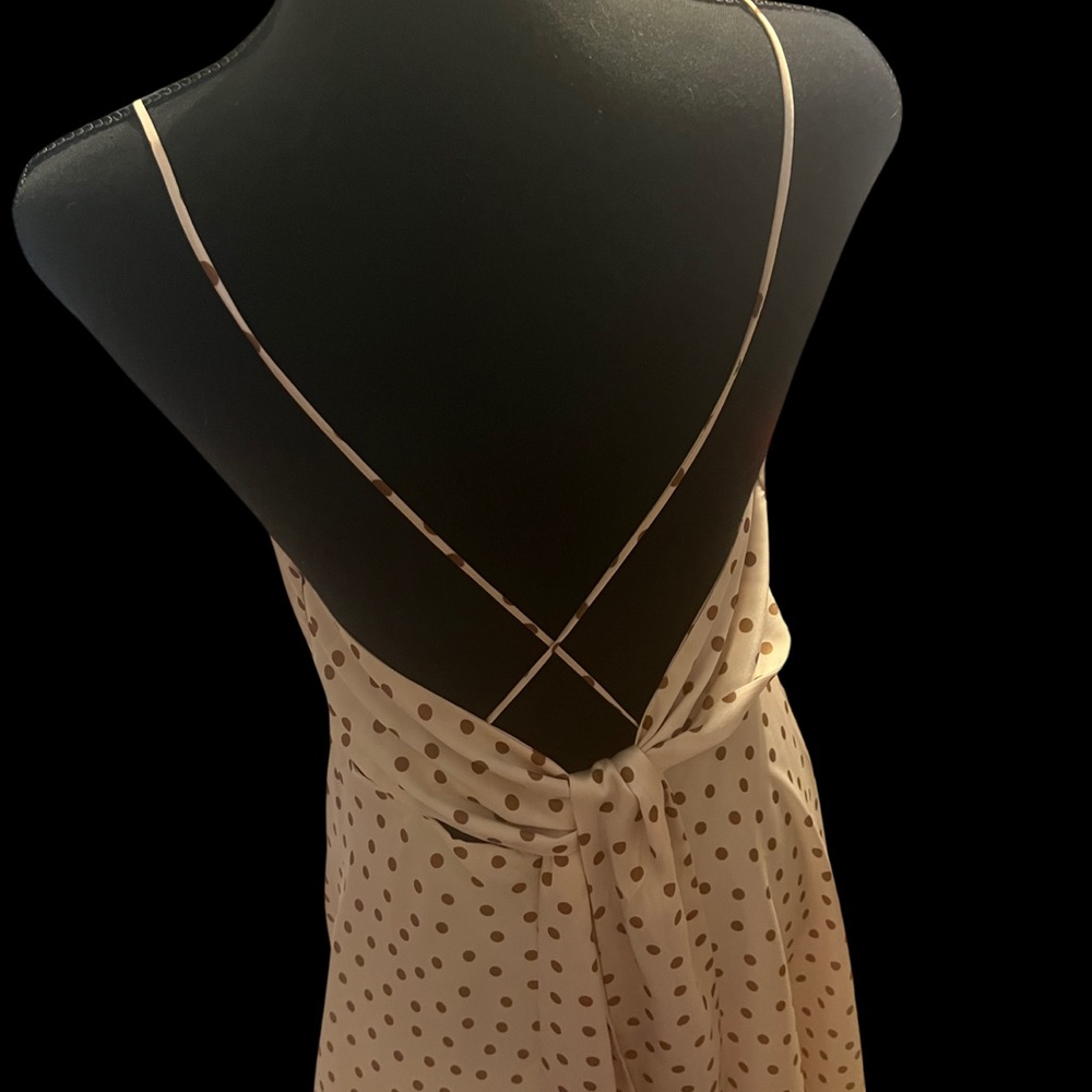Zara dress